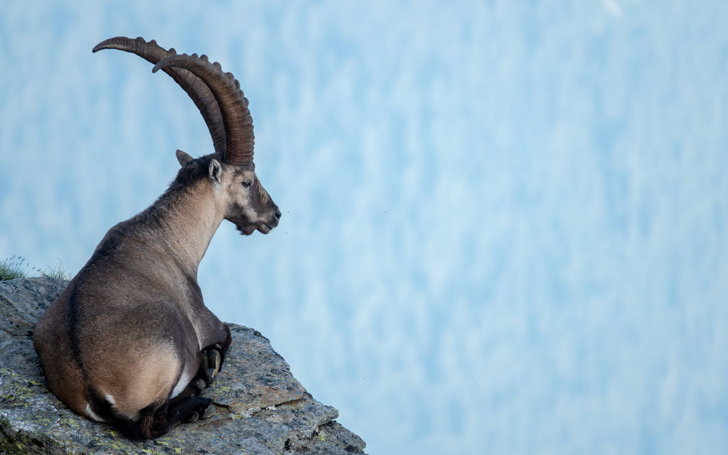 Fotos Mario Theus Palorma GmbH HQ 152 3dafa