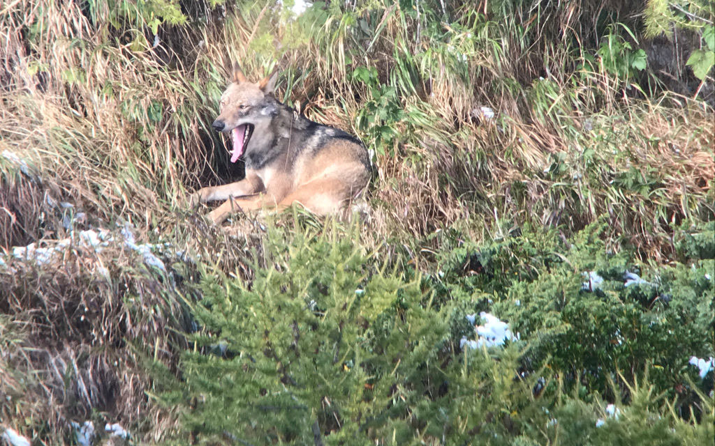 Romano Lanfranchi 2 Def Fa02a