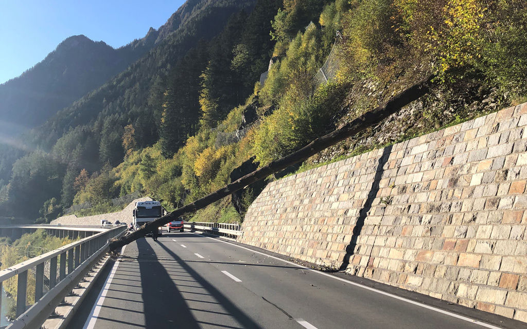 Pianta Lago Caduto 23f8a