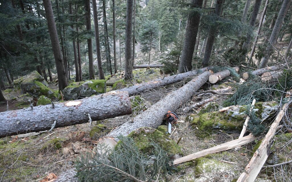 2022 03 02 Vicosoprano  W 1600  H 0 Eeae5