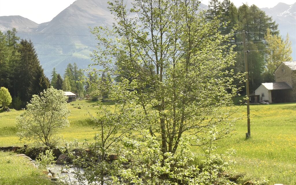 2022 05 23 Li Curt  W 1600  H 0 C85d2