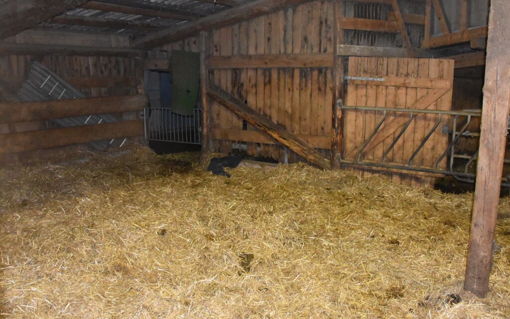 2022 11 21 Felsberg Arbeitsunfall  W 1600  H 0 2e876