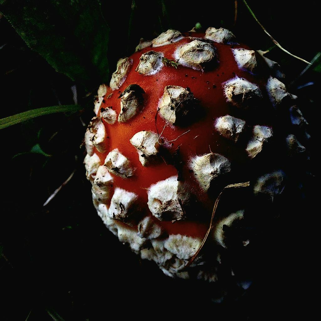 20220911 114239 1 96886