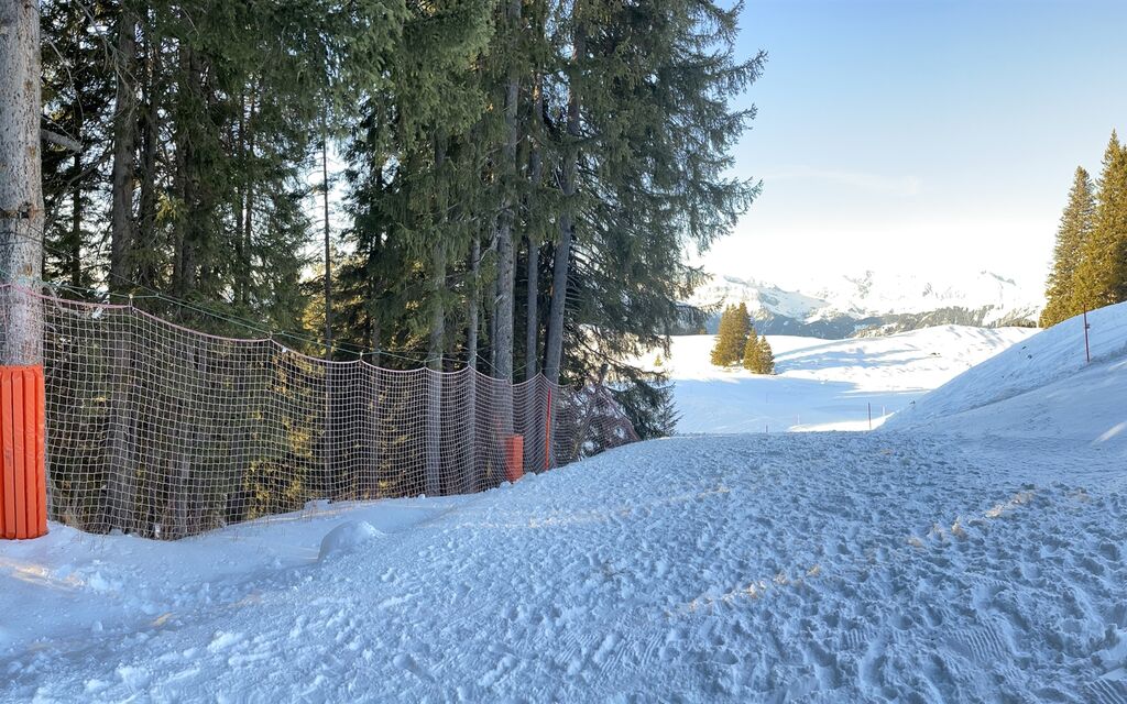 2023 02 13 Skiunfall Danusa  W 1600  H 0 21d19