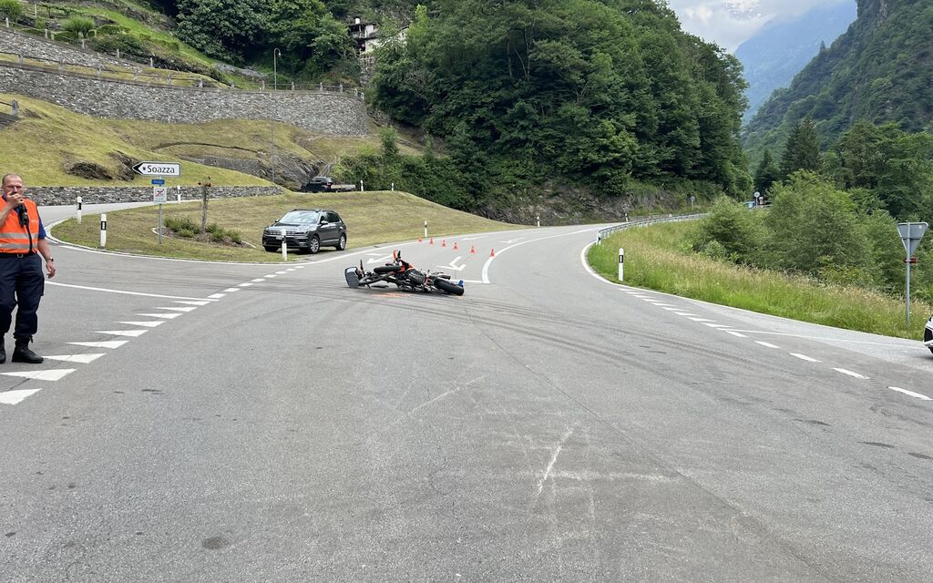 2024 06 19 Soazza Buchen VU1  W 1600  H 0 Eb8b3