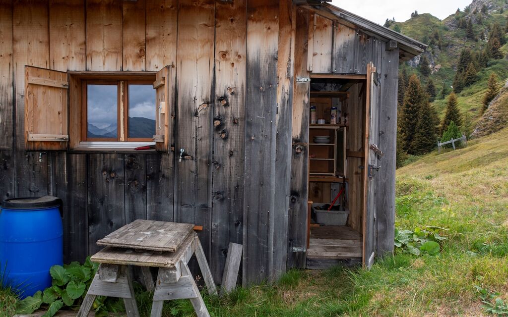 2024 09 09 Rheinwald Festnahme  W 1600  H 0 1dce7