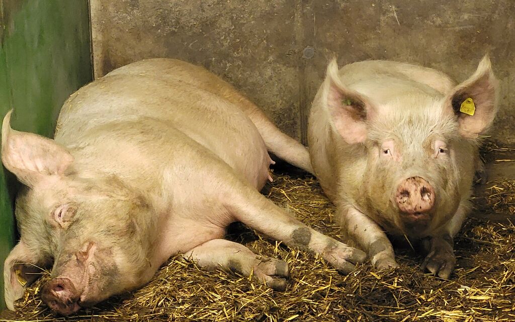 20240305 101313 1dd56