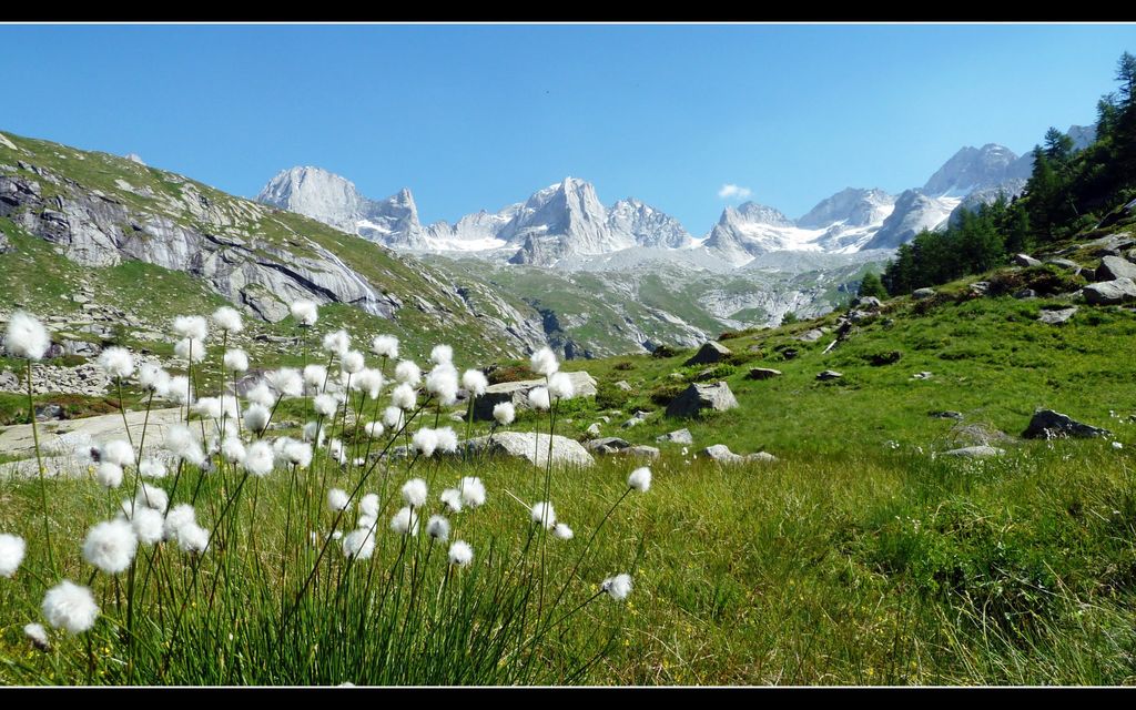 266749 2143394192795 160179 O 319f3