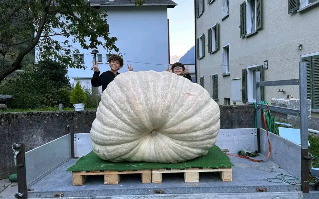 385749310 3734229530235202 2805927917347345804 N F0066