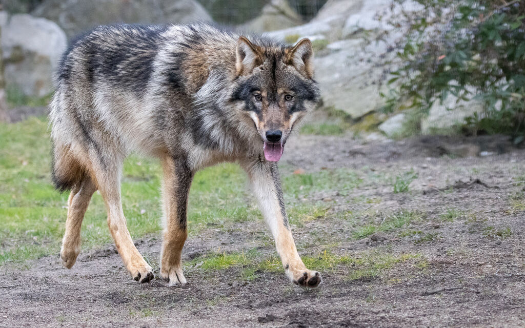 559722020 Highres Cc533