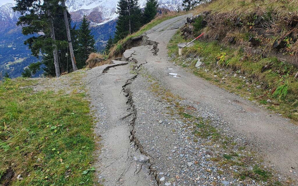 75768a22 ccd8 4a8e b392 eb0303fcb023 25ad1