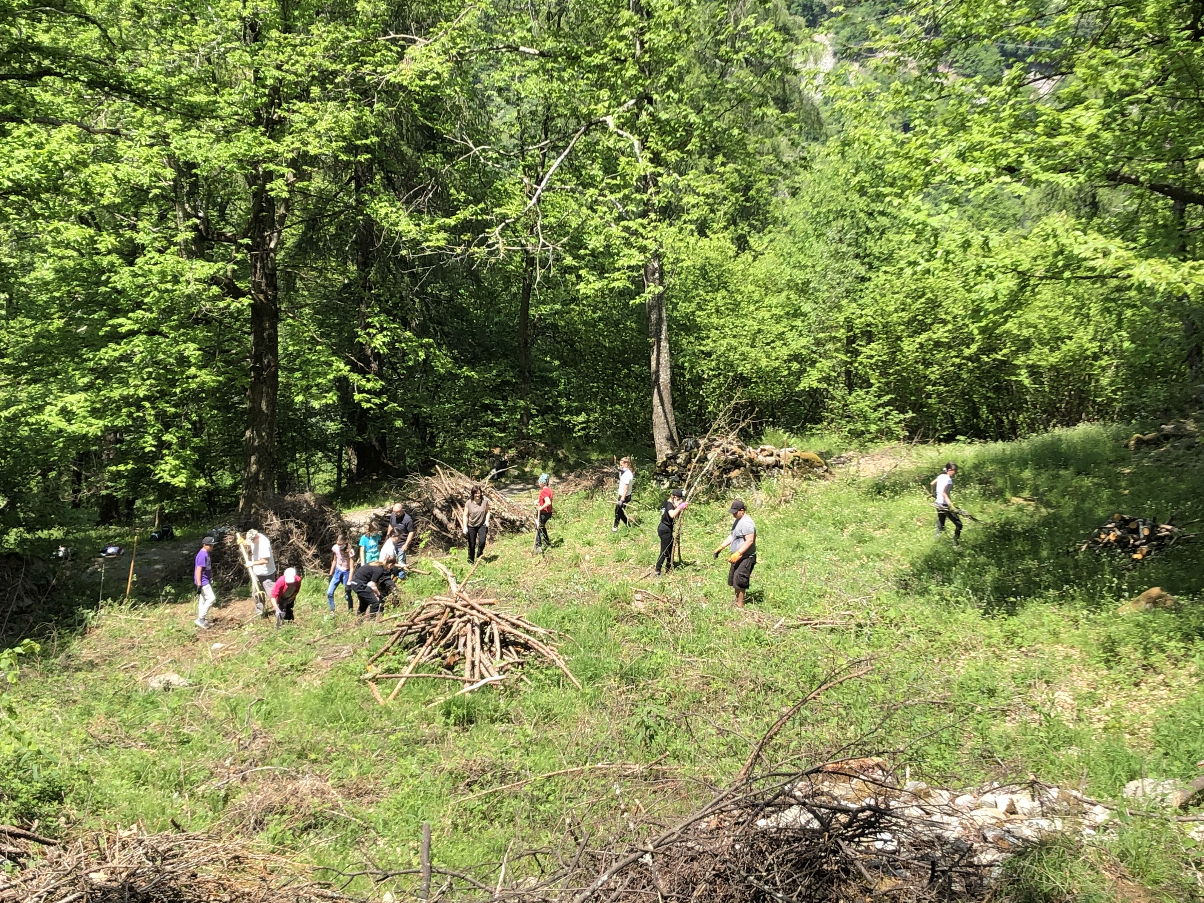 9 Pulizia selva eae3e