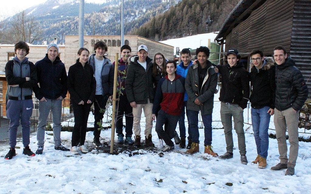 BCG Piantine 2019 F4602