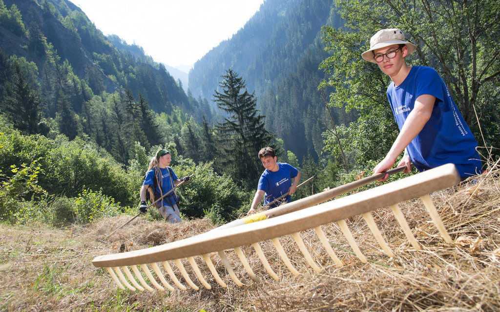 BCG Bergwaldprojekt 2018 1 6a05d