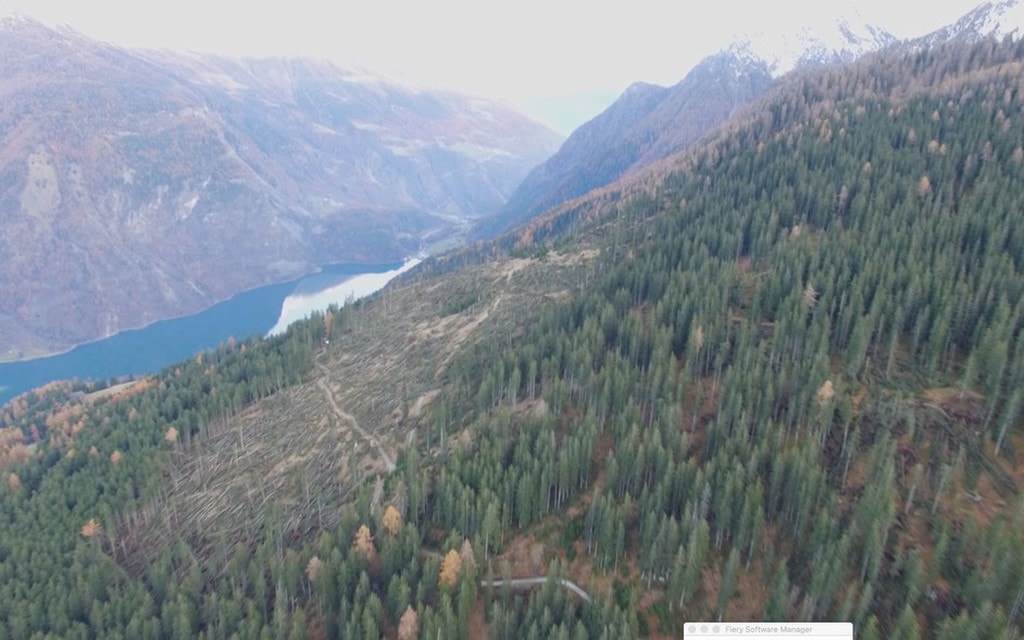 Bosco Distrutto 54b70