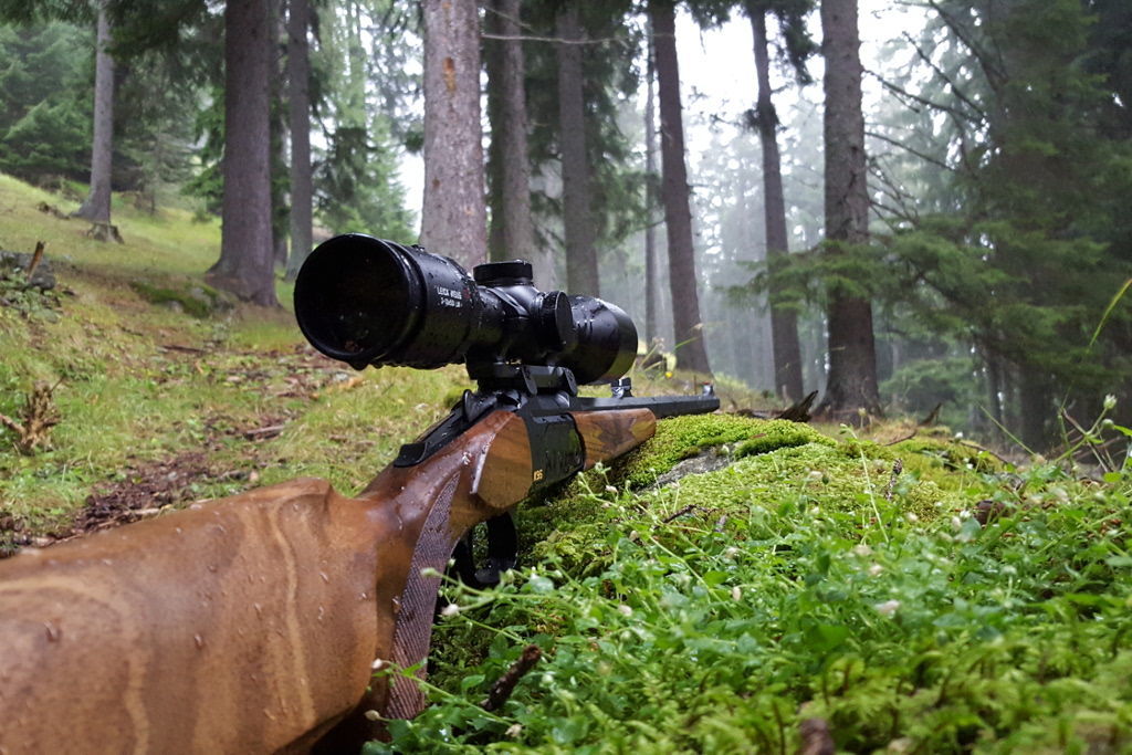 Caccia Fucile E509b 00f85