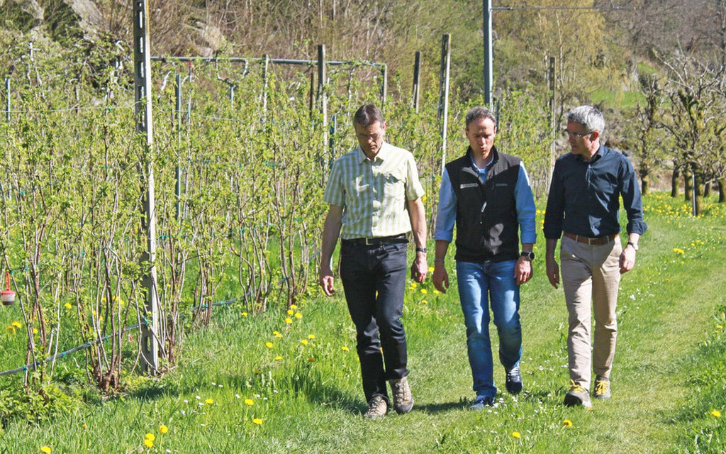 Cavigelli Berchier 4f81f