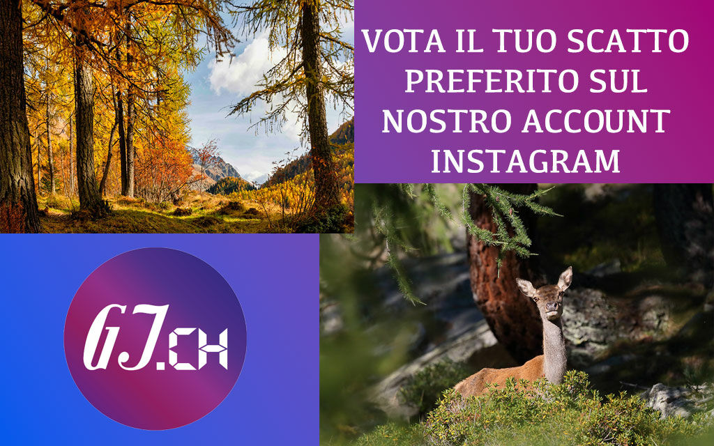 Concorso Fotografico Internet2 60598