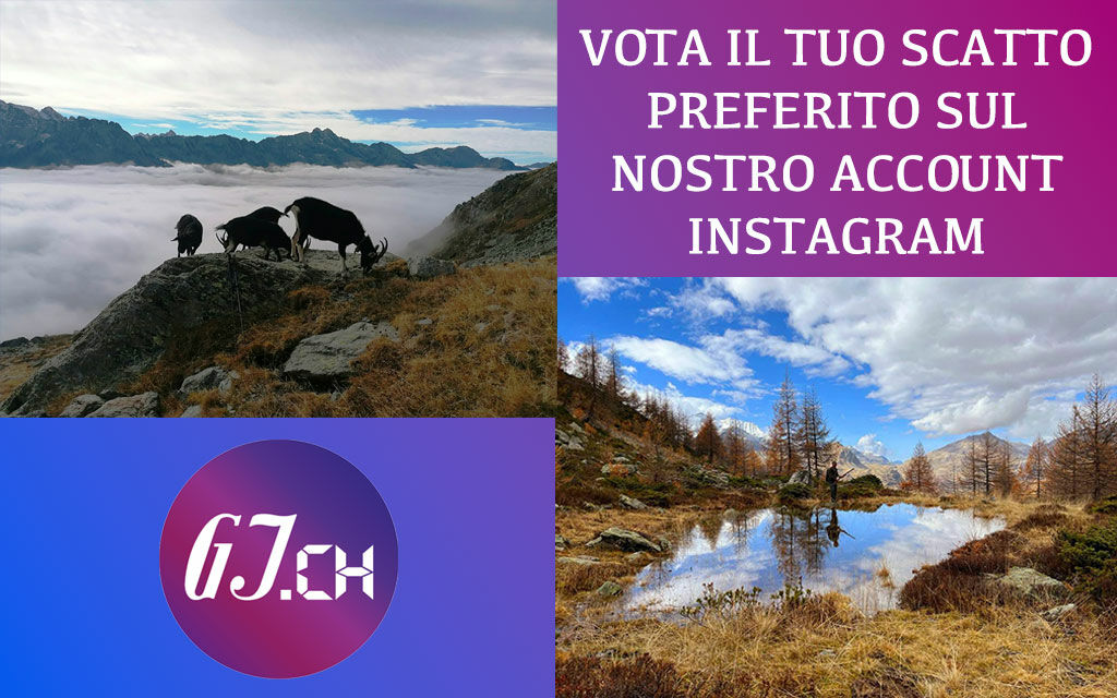 Concorso Fotografico Internet3 Aa609