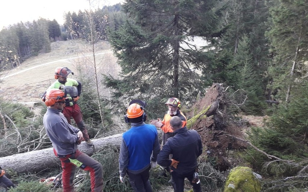 Corsoapprontamentolegnamedatempesta 2018 01 004 8f363