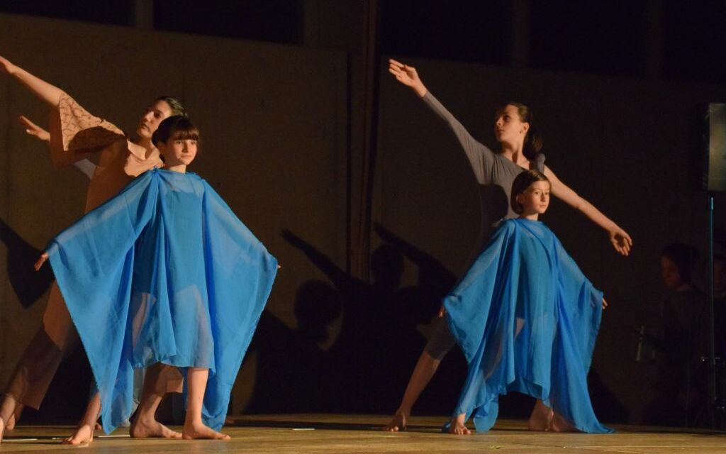 Danza Saggio 5901 701ceb7c603f19cd0b313b2f02b1577c D7e7e