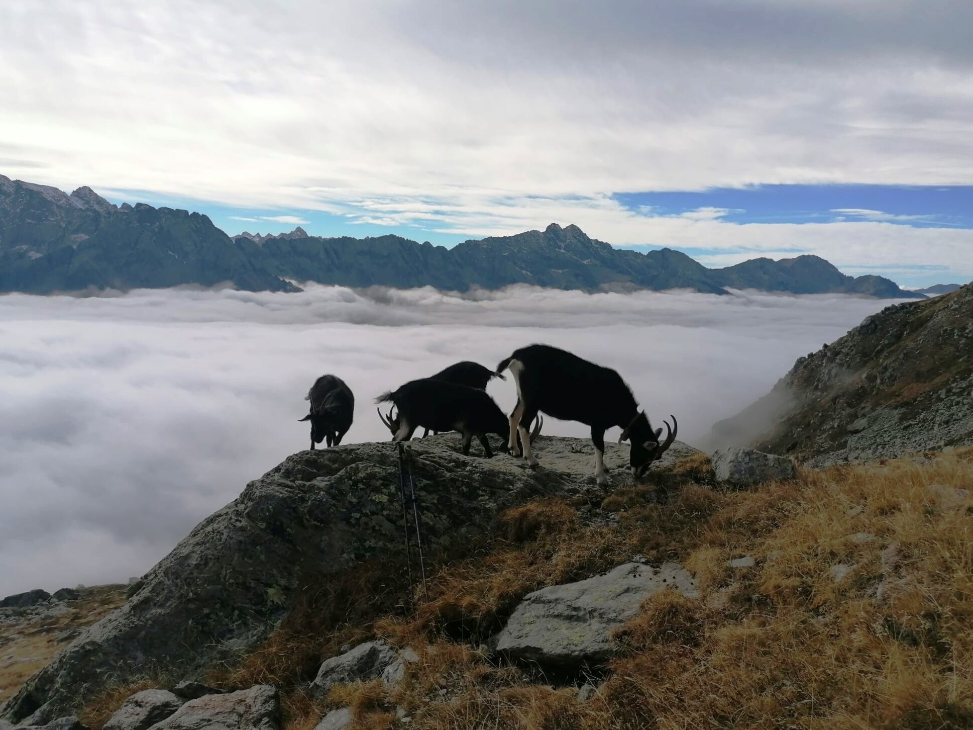 Elisa Nunzi 26aa1da8 2f95 4a98 b252 8d5dda6c6d06 47cc4