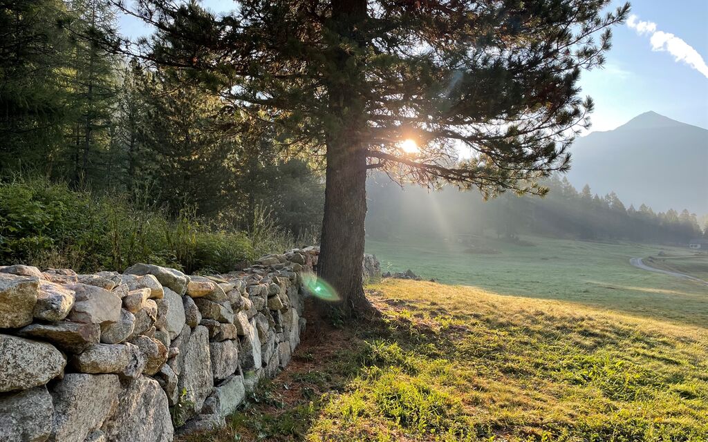 Foto Trockenmauer  W 1600  H 0 5ff11