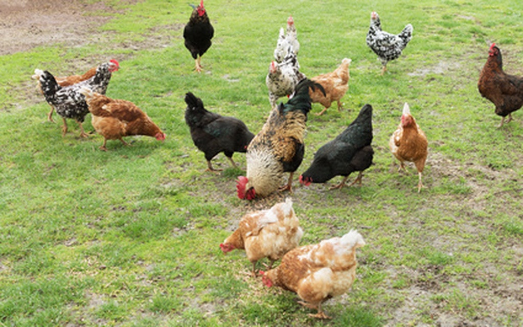 Fotolia 143586773 XS Cc89a