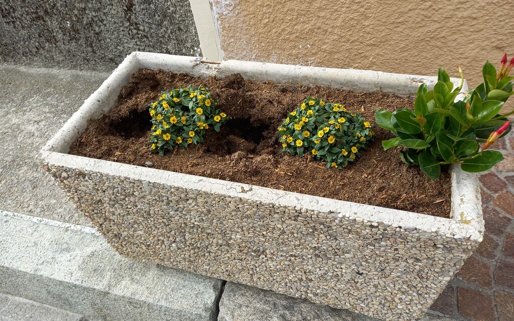 IMG 20240619 WA0005 3f821