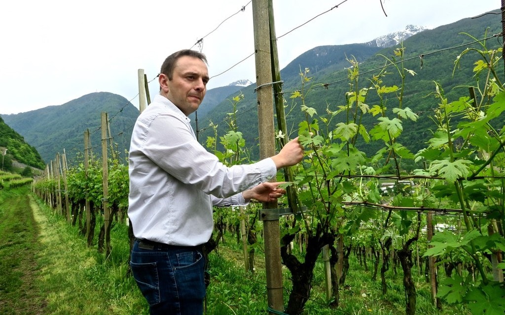 LaPerla 2018 4933 5d8e1