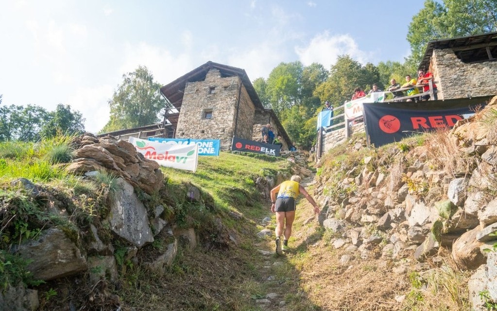 MelaVertical 2019 2 3ec9c