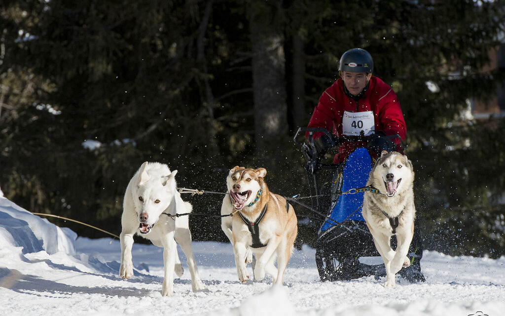 NIK 0720 Copia 826b7