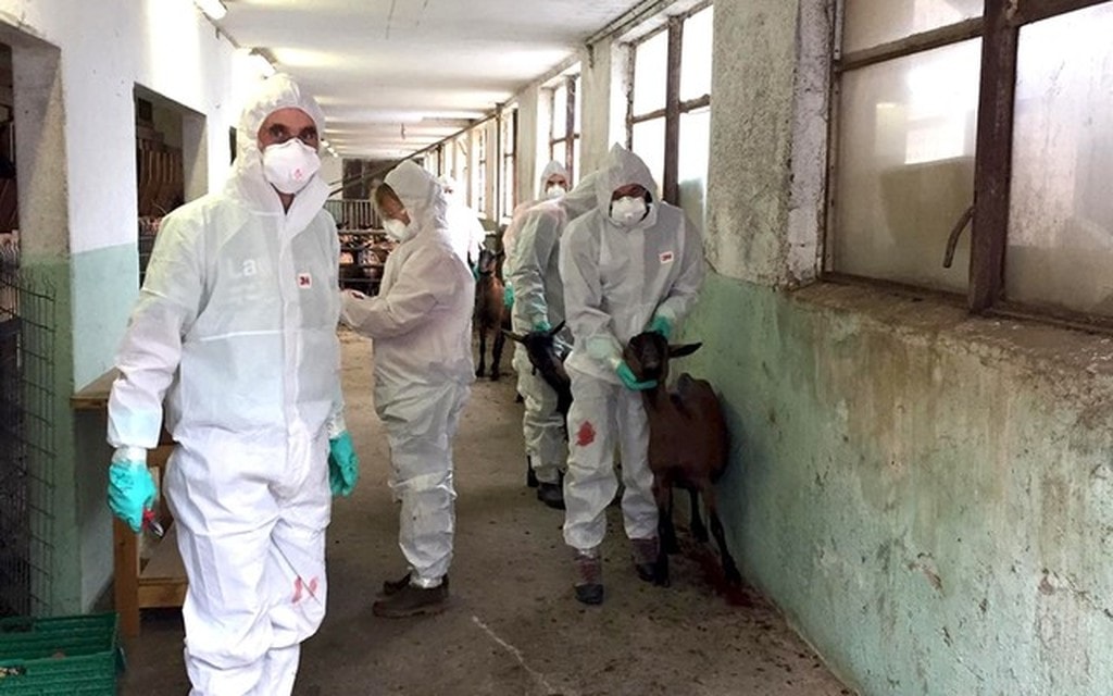 Paratuberkulose Puschlav Seuchenwehrpioniere Zivilschutz  W 1000  H 0 05e52