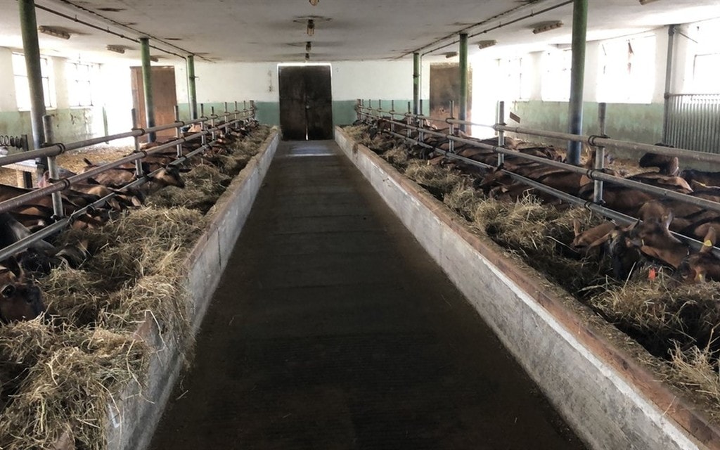 Paratuberkulose Puschlav Stall  W 1200  H 0 4c7f2