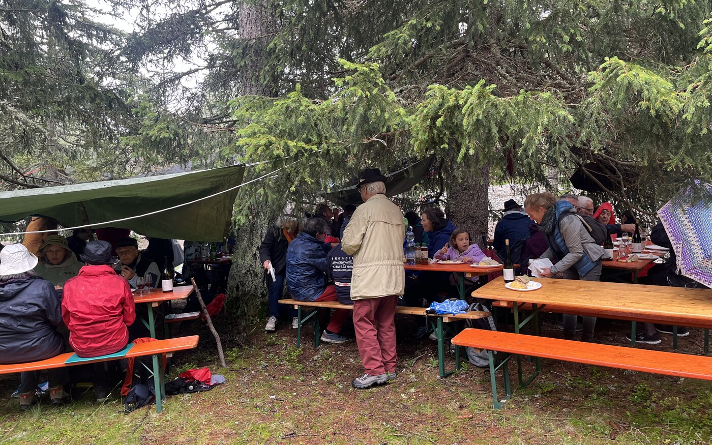 Pulenta 2025 6127 6de29