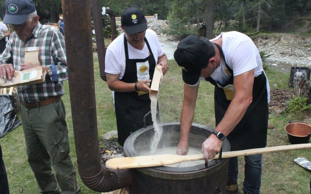 Pulenta Cavaia 086 17 Be573