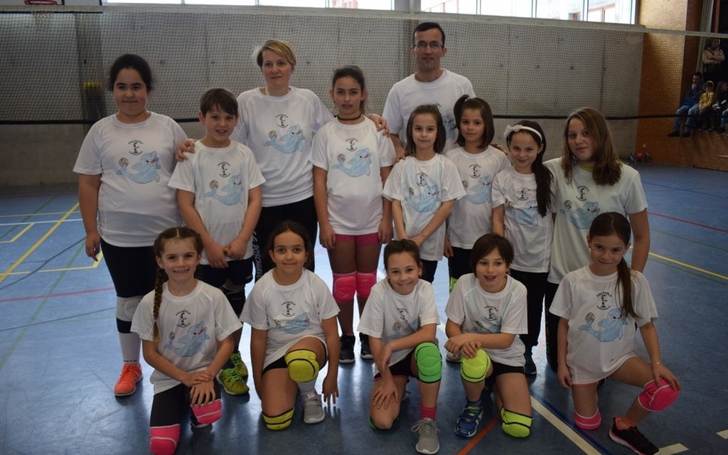 Pvolley 2018 01 60106