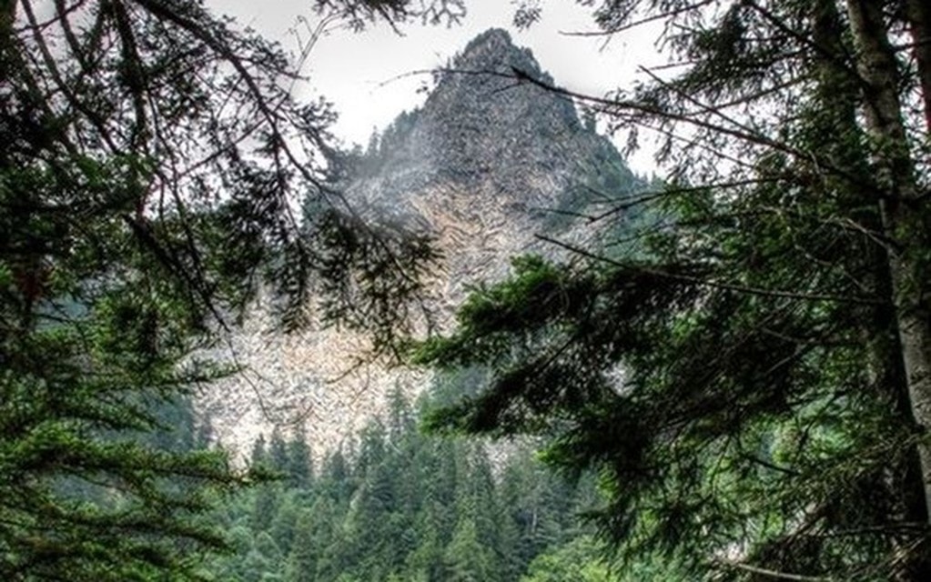 Rote Platte Symbolbild 4da15