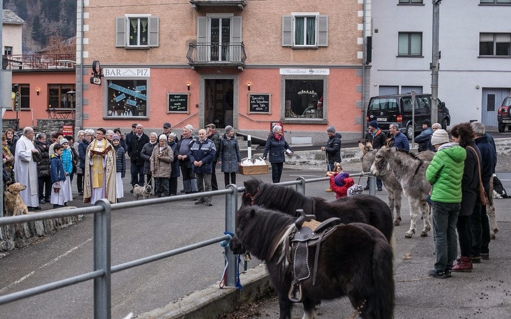 Sagradisantantonioabate 2019 01 007 37ba0