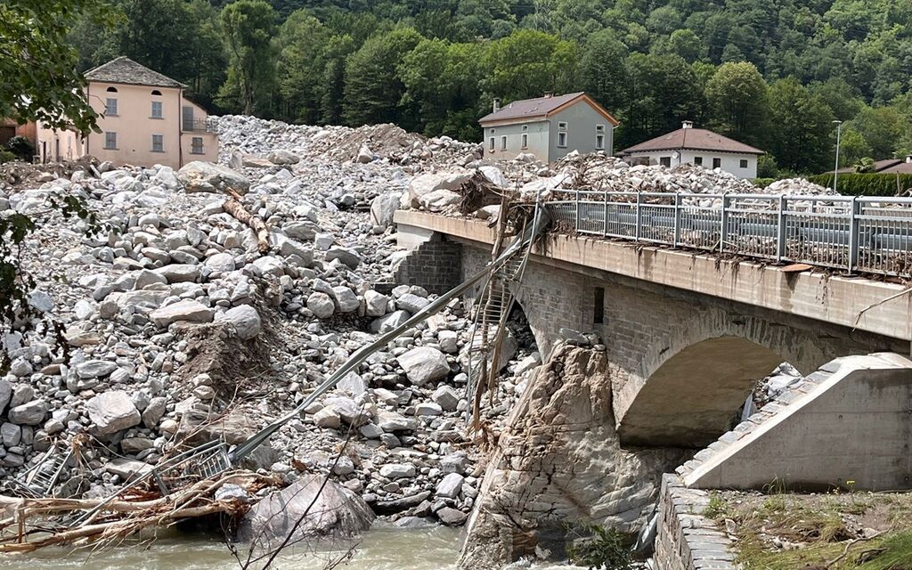 Sorte  W 1200  H 0 343ba