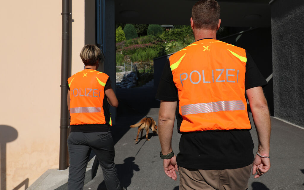 Symbolbild Personenspurhund D18be