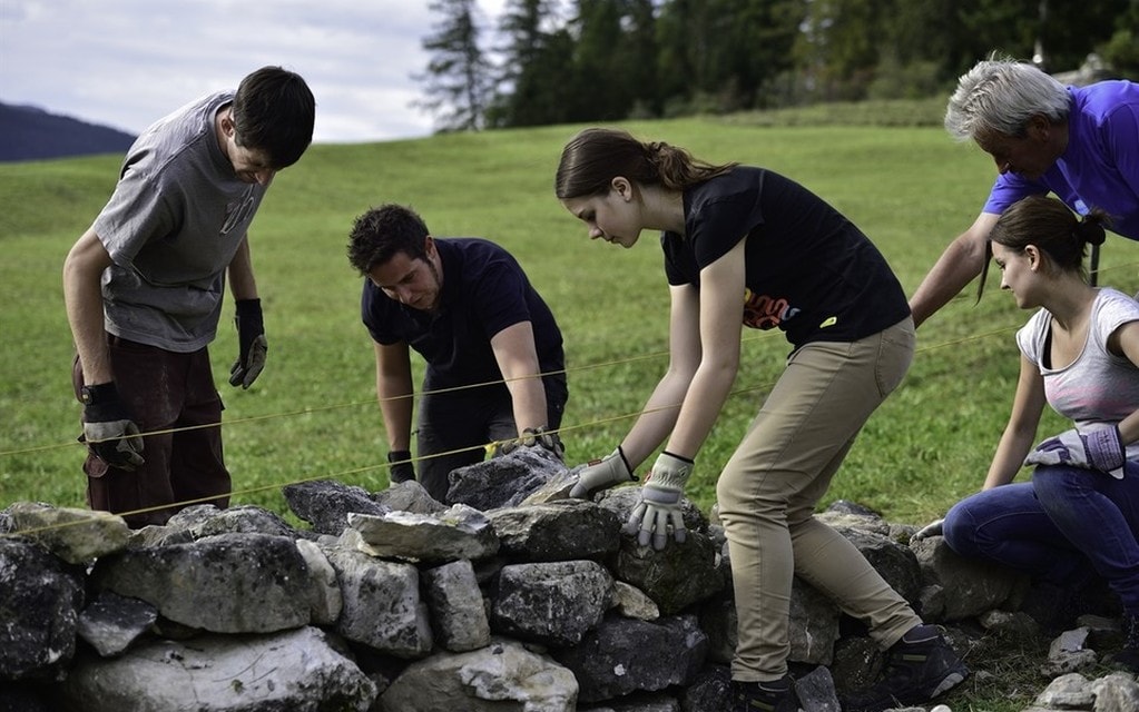 Trockenmauer  W 1200  H 0 E0664