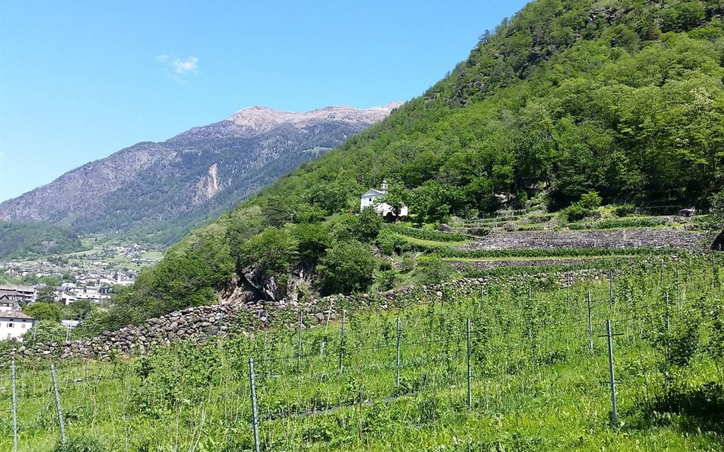 Valposchiavo  W 1000  H 0 C514c