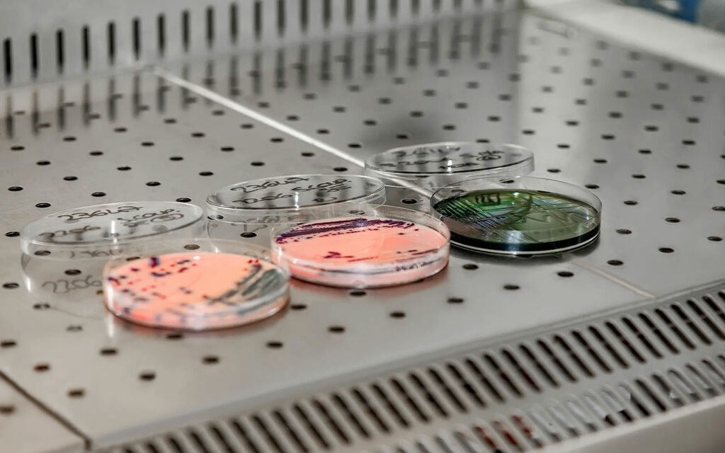 Batteri Ristoranti E4db1