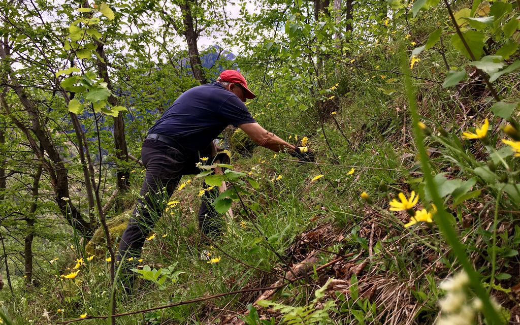 Bergwaldprojekt Soazza 6a801