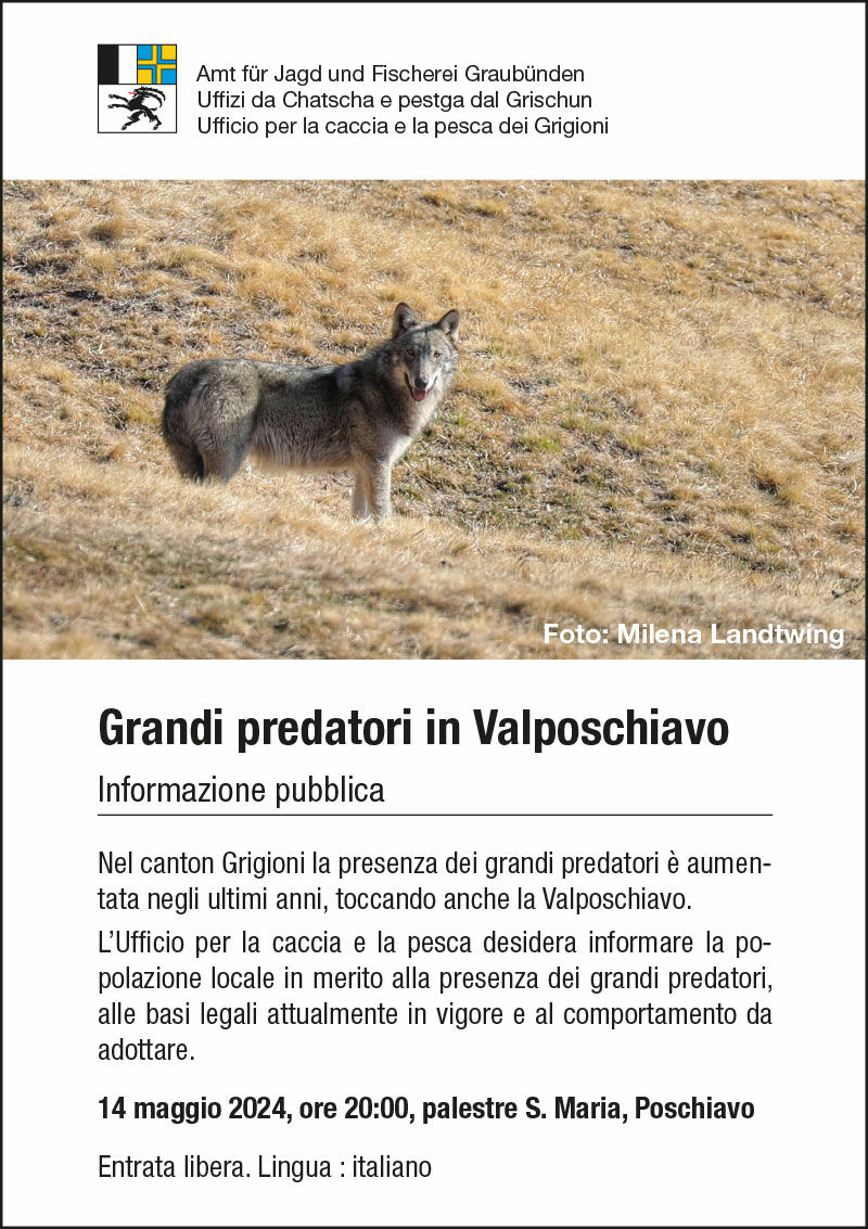 conferenza Grandi predatori e2ca8