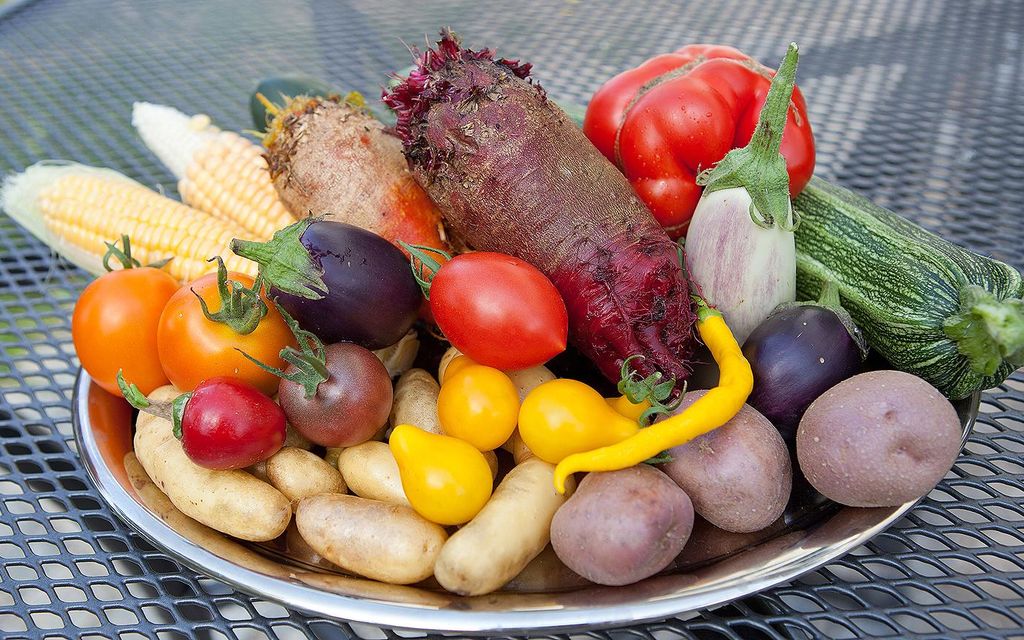 Csm Gemuesevielfalt Tisch ProSpecieRara 9d030a1062 3d057