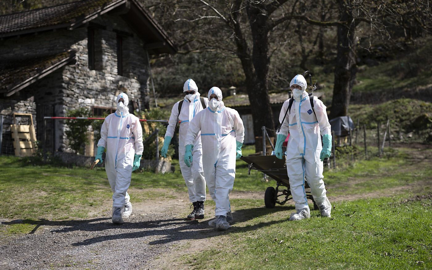 Esercitazione Peste Suina Mesolcina F2c72