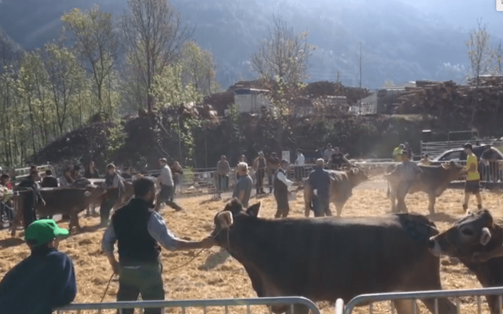 Festa 100 Anni Agricola Calchera 5e327