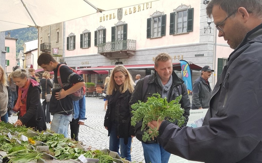 Festival Erbe 19 46adf